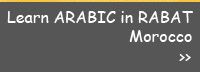 Arabic Language Courses