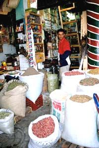 French Tunis studyabroad in tunisia